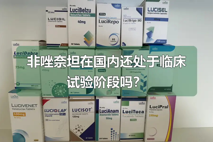非唑奈坦在国内还处于临床试验阶段吗?