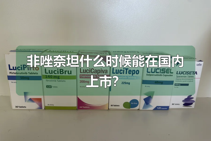 非唑奈坦什么时候能在国内上市?